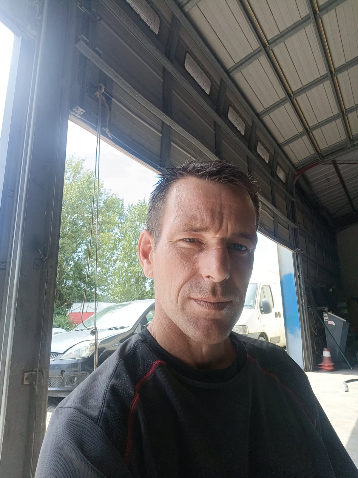 Profil de Dauphin